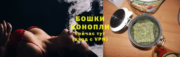 PSILOCYBIN Магас