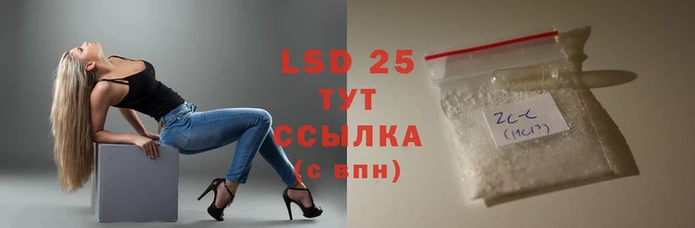 PSILOCYBIN Магас