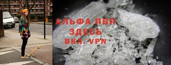 PSILOCYBIN Магас
