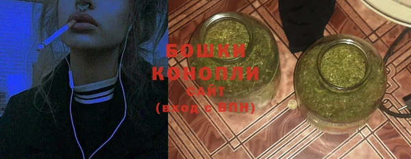 PSILOCYBIN Магас